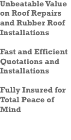 Dripping Roof and Damp Repairs Kenilworth